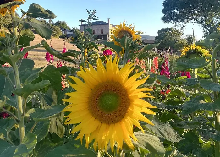 Gospodarstwo wiejskie Perdidas *